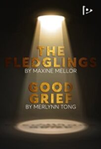 THE FLEDGLINGS